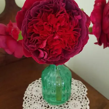 Sinneswandel דירה *