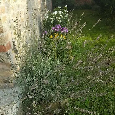 דירה Sinneswandel נאון