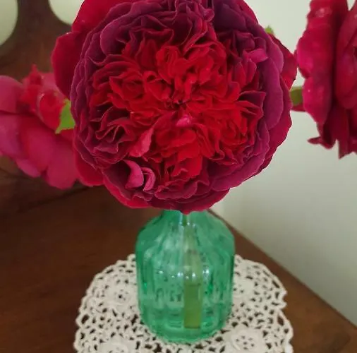 Sinneswandel شقة *