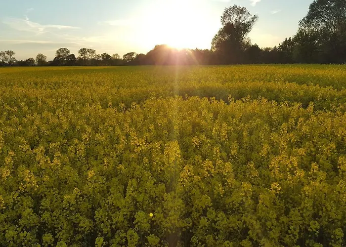 Sinneswandel شقة *